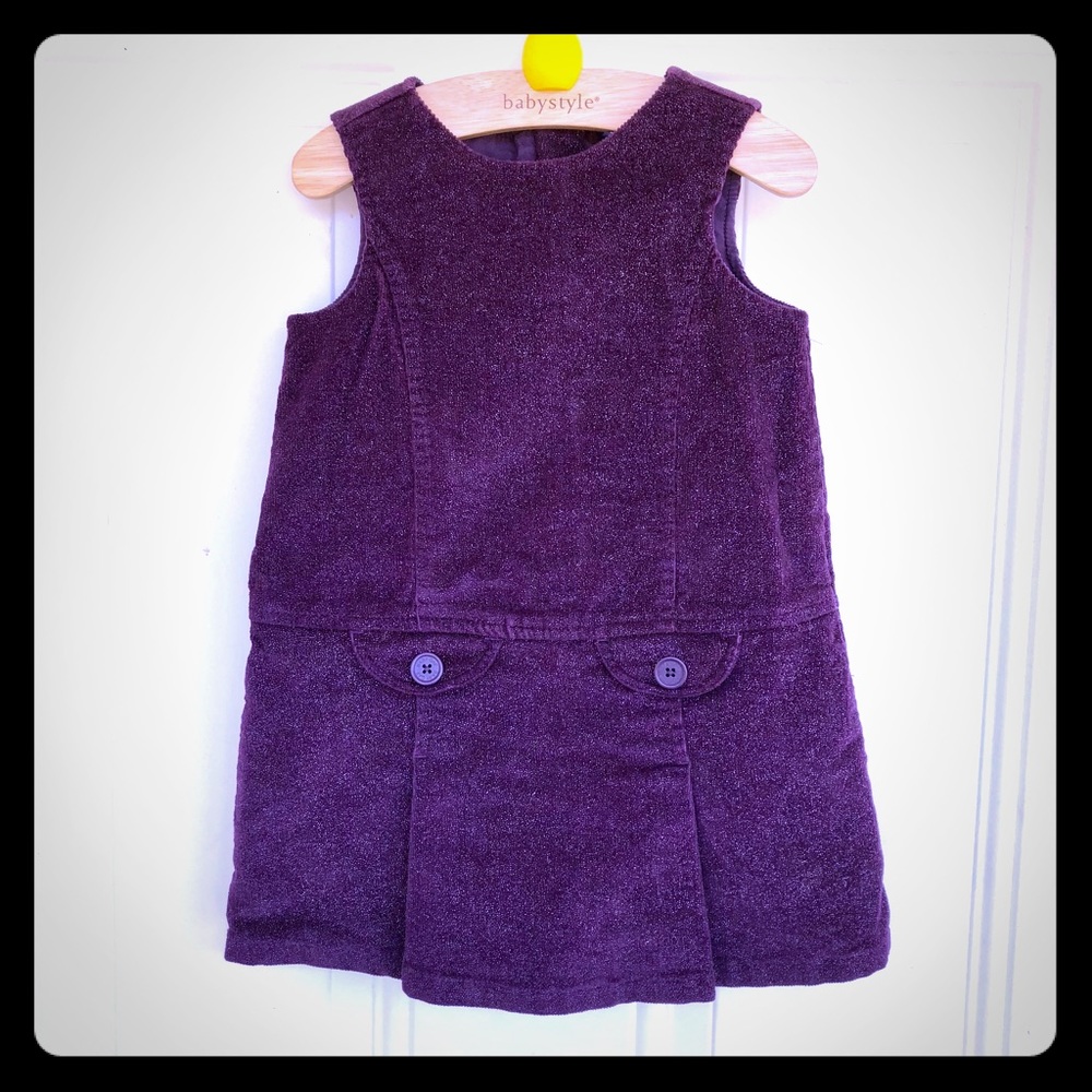 BABY GAP Toddler Girl Jumper